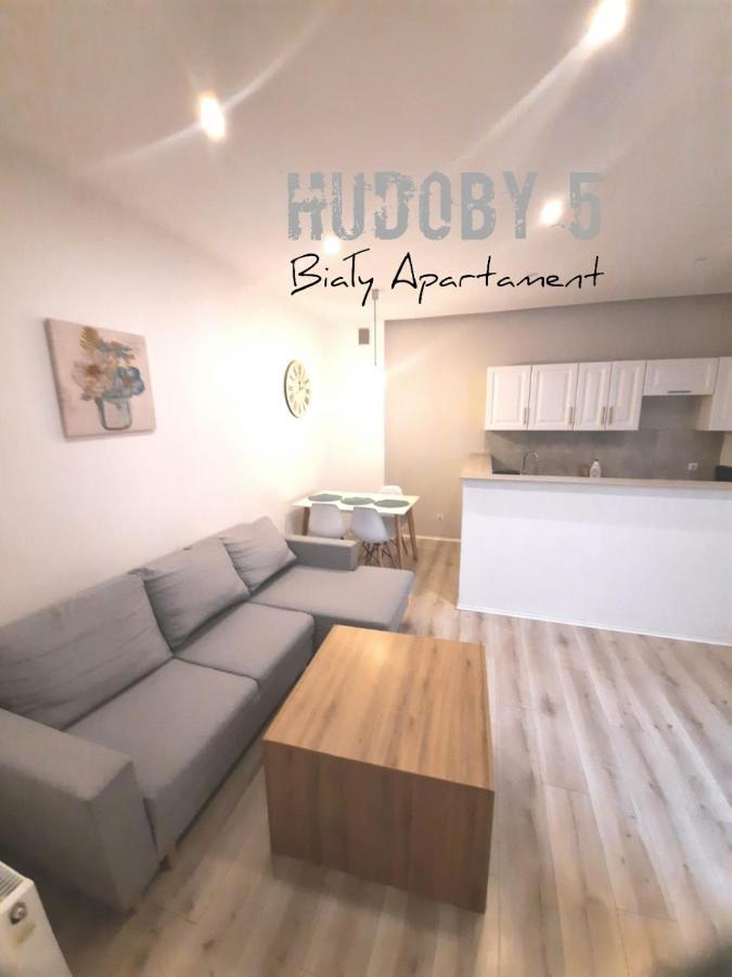 Appartamento Apartament Bialy Chudoby 5 Gliwice Esterno foto